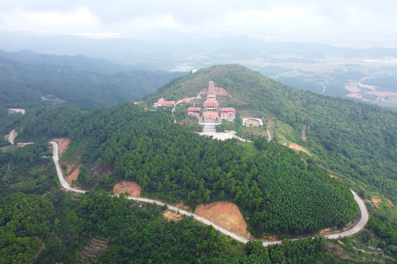 Khu vực trồng keo gần chùa Đại Tuệ - nơi phát hiện thi thể nạn nhân Khu vực trồng keo gần chùa Đại Tuệ - nơi phát hiện thi thể nạn nhân