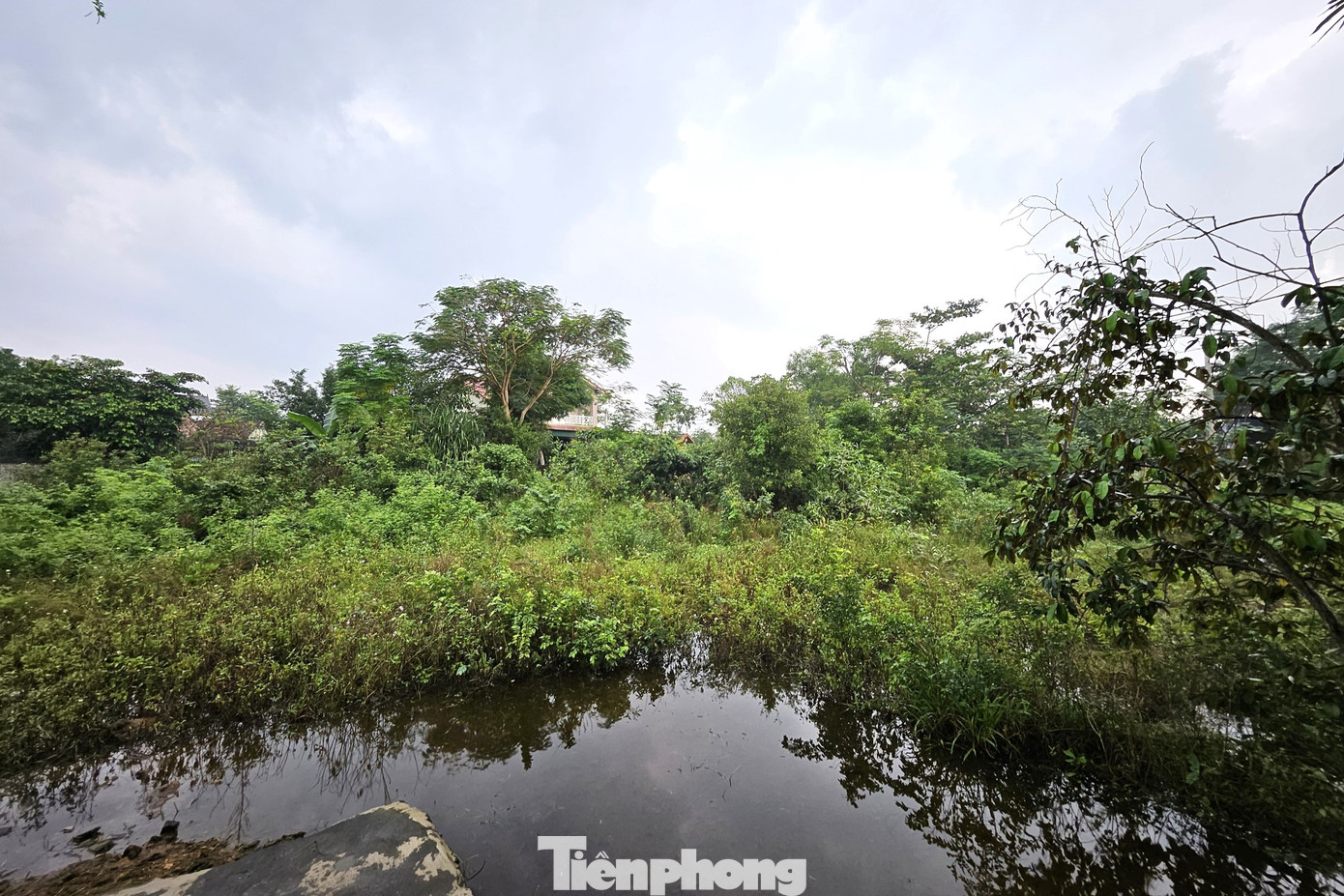 Khu vực thực hiện dự án.