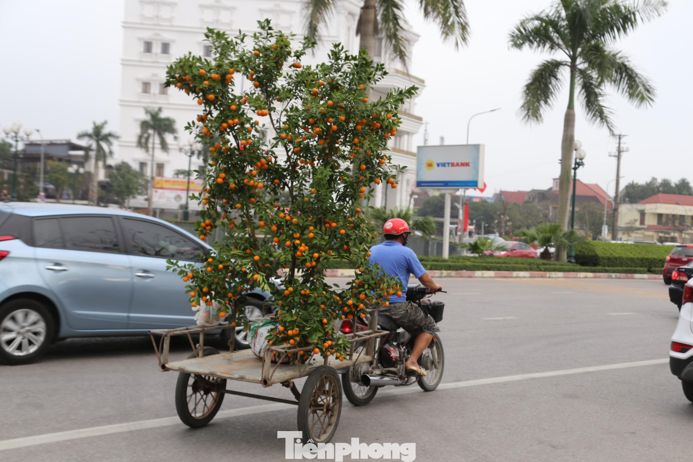 Người vận chuyển phải chịu khó, chịu được áp lực thời gian và nhất là phải cẩn thận, tỉ mỉ.