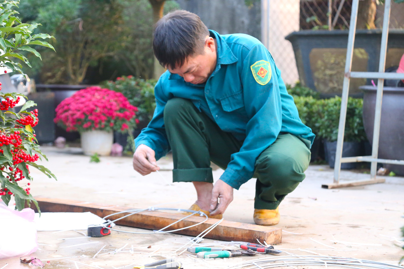 Anh Nguyễn Văn Việt (54 tuổi, trú xã Nghi Đức, thành phố Vinh, Nghệ An) cho biết, đồ nghề đi “làm đẹp” cây cảnh rất đơn giản, chỉ cần chiếc kéo và cưa. Phụ kiện là dây thép, dây nhôm cùng vài thanh tre nẹp giữ dáng.