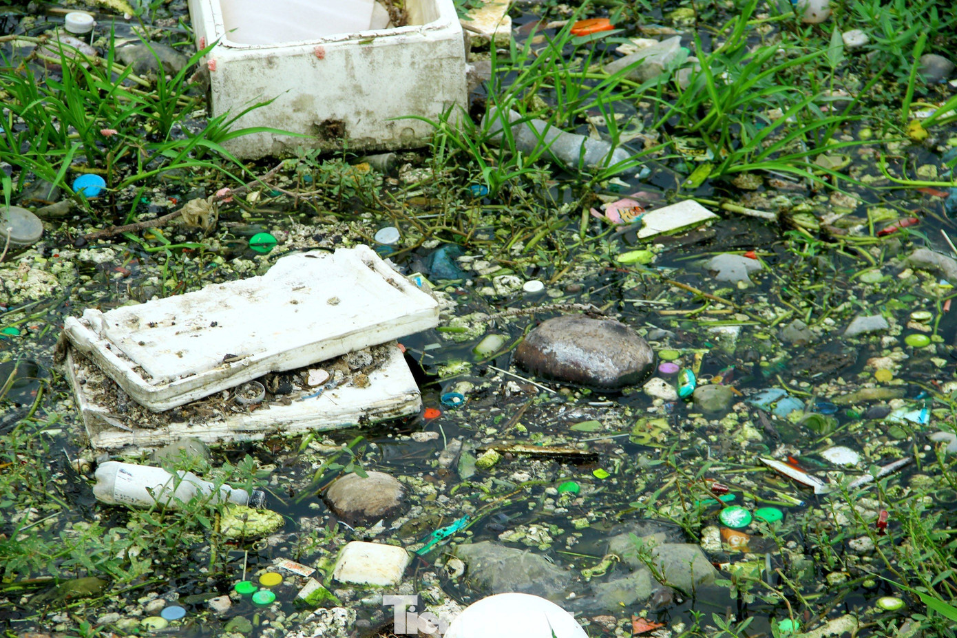 Tại khu vực này, rác đen đặc từ thùng xốp, chai nhựa đến bao bì, ni lông,…