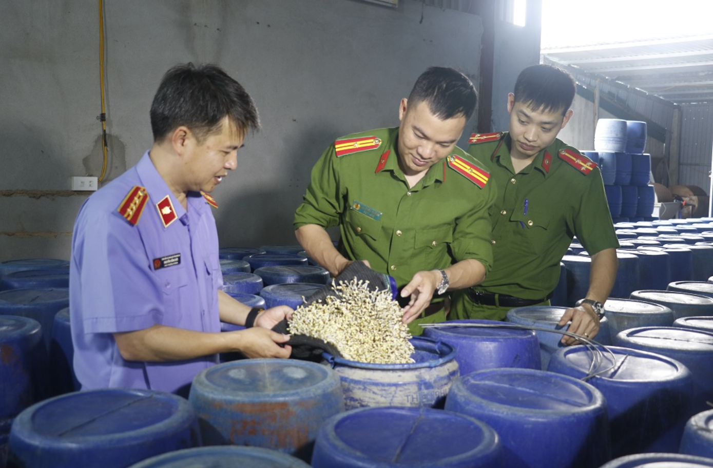 Lực lượng chức năng kiểm tra cơ sở sản xuất giá đỗ ngâm hóa chất ở thành phố Vinh, Nghệ An Lực lượng chức năng kiểm tra cơ sở sản xuất giá đỗ ngâm hóa chất ở thành phố Vinh, Nghệ An