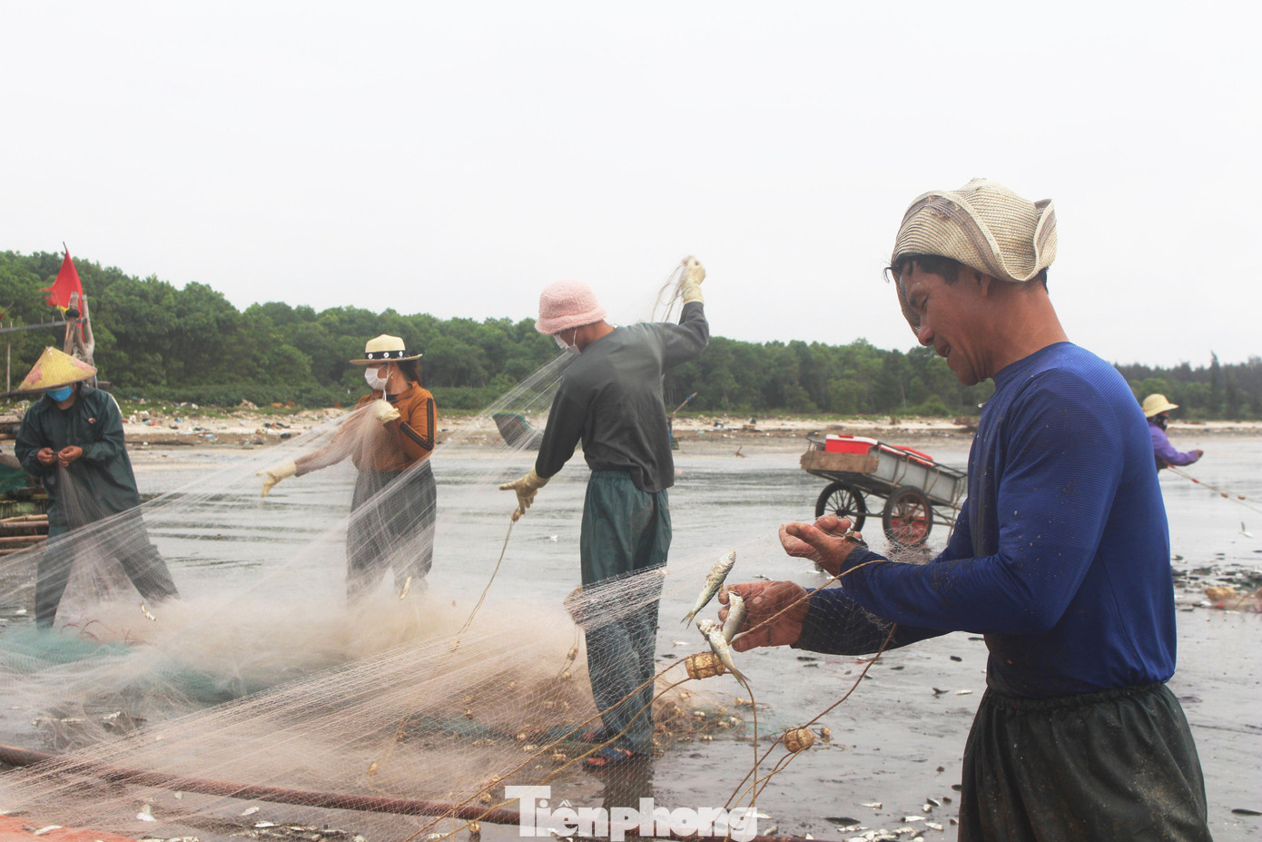 Anh Nguyễn Văn Thưởng (trú xóm Xuân Châu, xã Diễn Kim) phấn khởi: “Mùa cá trích bắt đầu từ tháng 1 đến tháng 3 âm lịch hằng năm. Bà con ngư dân ra biển thả lưới từ lúc rạng sáng. Thuyền của tôi đánh được hơn 1 tạ cá trích, trừ chi phí cũng kiếm được tiền triệu”.
