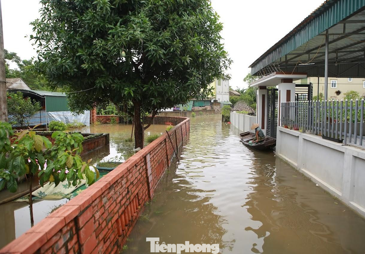 Mưa lũ đã làm ngập 15ha lúa, hơn 70ha rau màu và trên 100ha thủy sản trên địa bàn huyện Hưng Nguyên bị ngập nặng, cuốn trôi. Toàn huyện có gần 3.000 hộ dân bị ngập nặng ở 37 xóm.