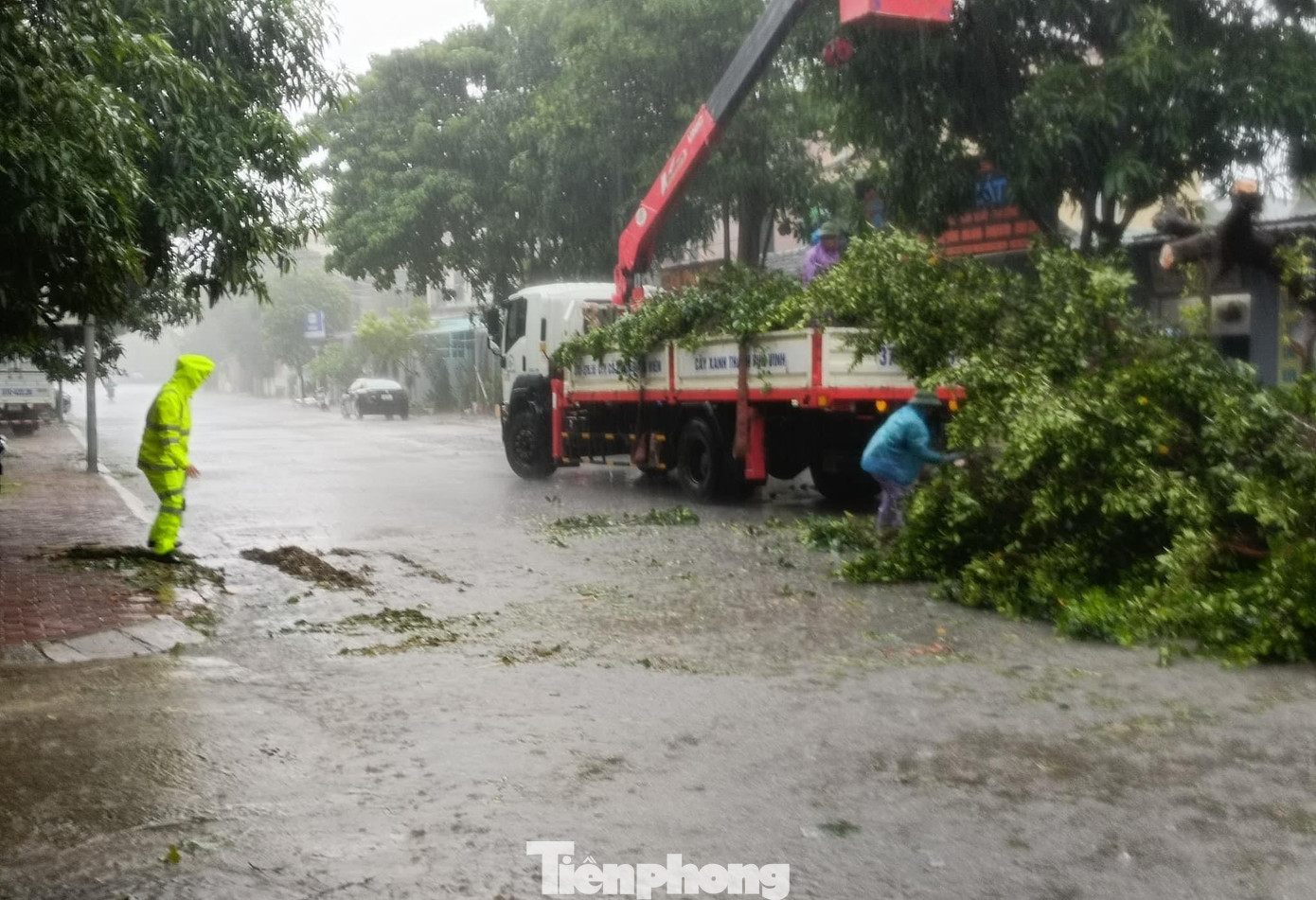 Nhiều cây xanh bật gốc, đổ ngã trên đường do mưa to, gió lớn liên tục