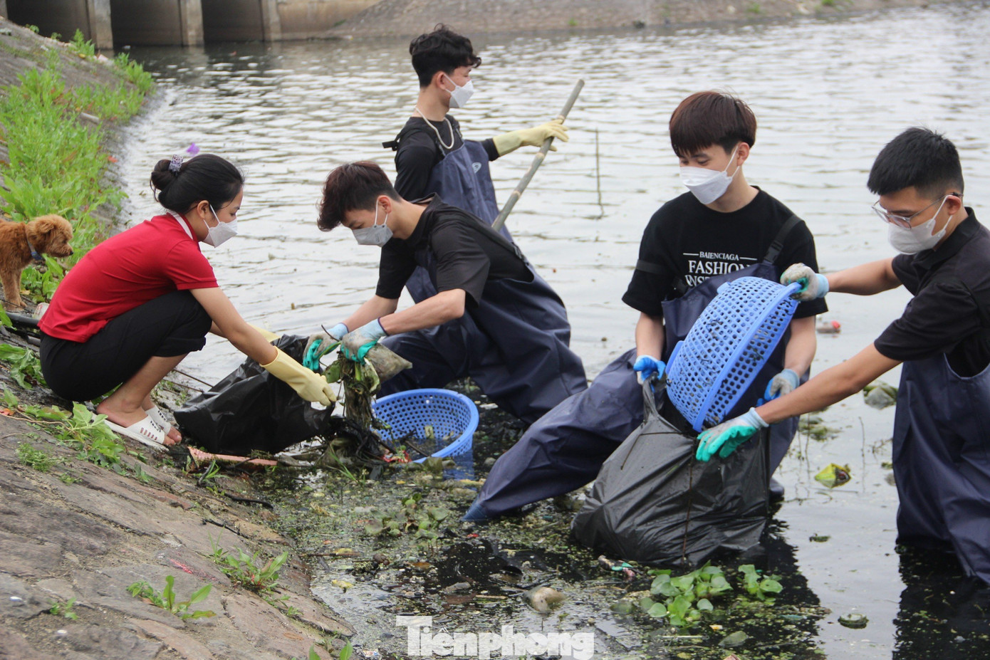 Đặng Thống Hưng – đồng sáng lập nhóm Nghệ An xanh cho biết, nhóm được thành lập vào tháng 2/2023 với mục đích tập hợp các bạn trẻ có tình yêu thiên nhiên, có ý thức bảo vệ môi trường, chung tay thu gom rác thải tại các điểm ô nhiễm trên địa bàn tỉnh Nghệ An. Nhóm hiện có 4 thành viên chính thức, đều là sinh viên trường Đại học Vinh và hàng chục tình nguyện viên.