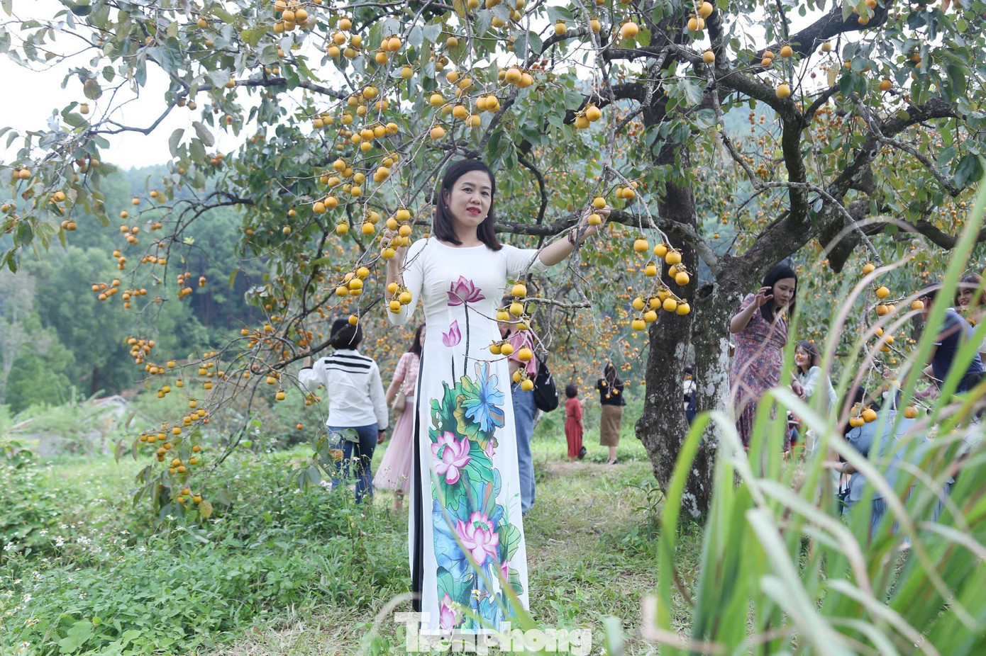 Các cô gái thả dáng với áo dài truyền thống thướt tha