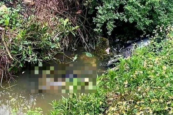 Chị H. được phát hiện tử vong dưới mương nước