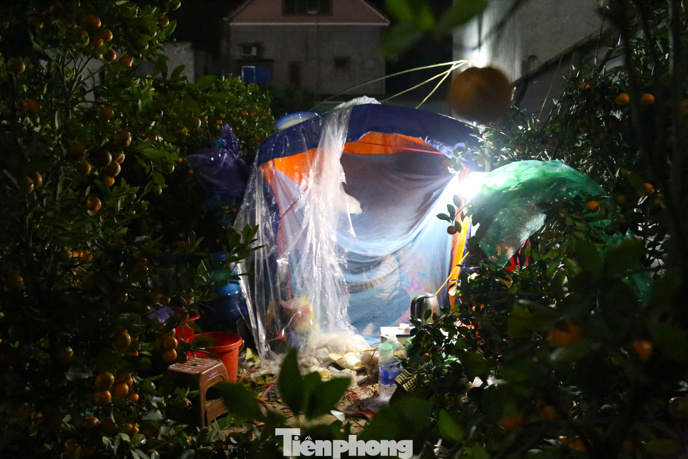 Những chiếc lều dựng tạm từ các thanh gỗ, tre và phủ bạt làm mái.