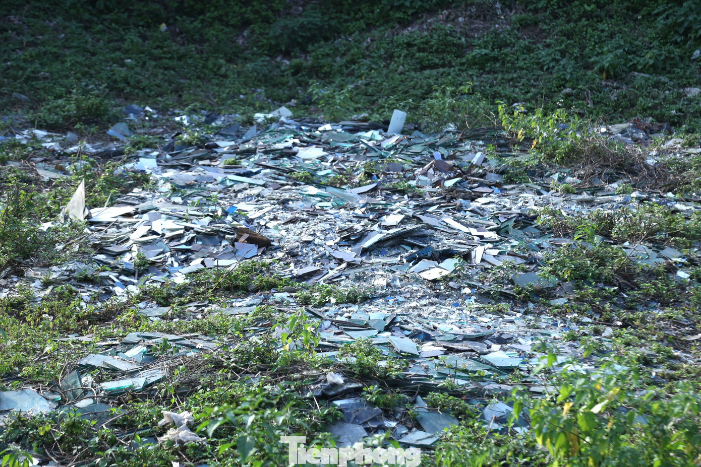 Rác thải đủ các loại rải rác khắp nơi Rác thải đủ các loại rải rác khắp nơi