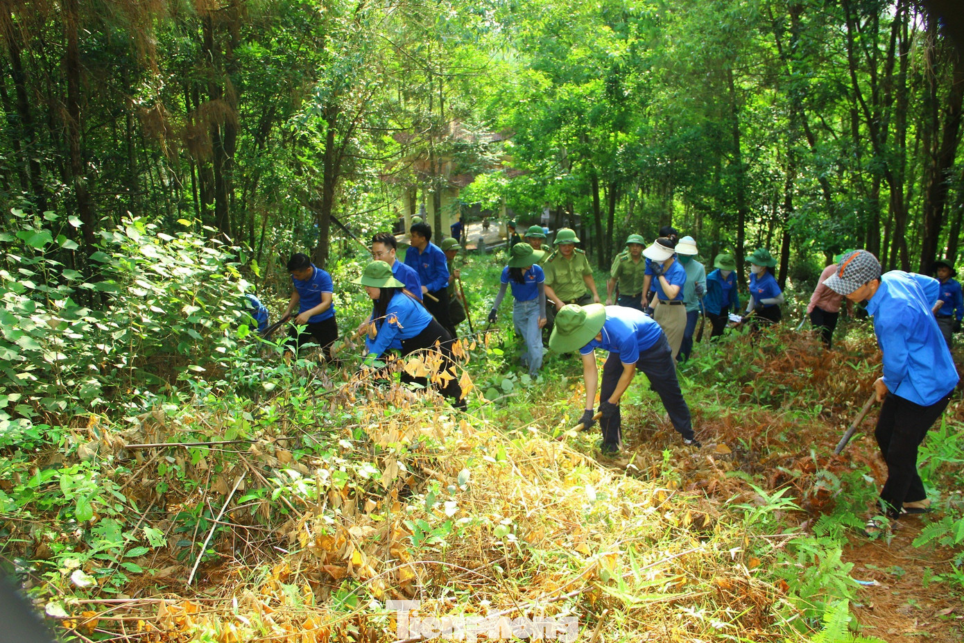 Hoạt động nhằm tuyên truyền phòng chống cháy rừng, trong đó vai trò của thanh niên được coi là hạt nhân, xung kích đi đầu để tuyên truyền phòng cháy, chữa cháy rừng.