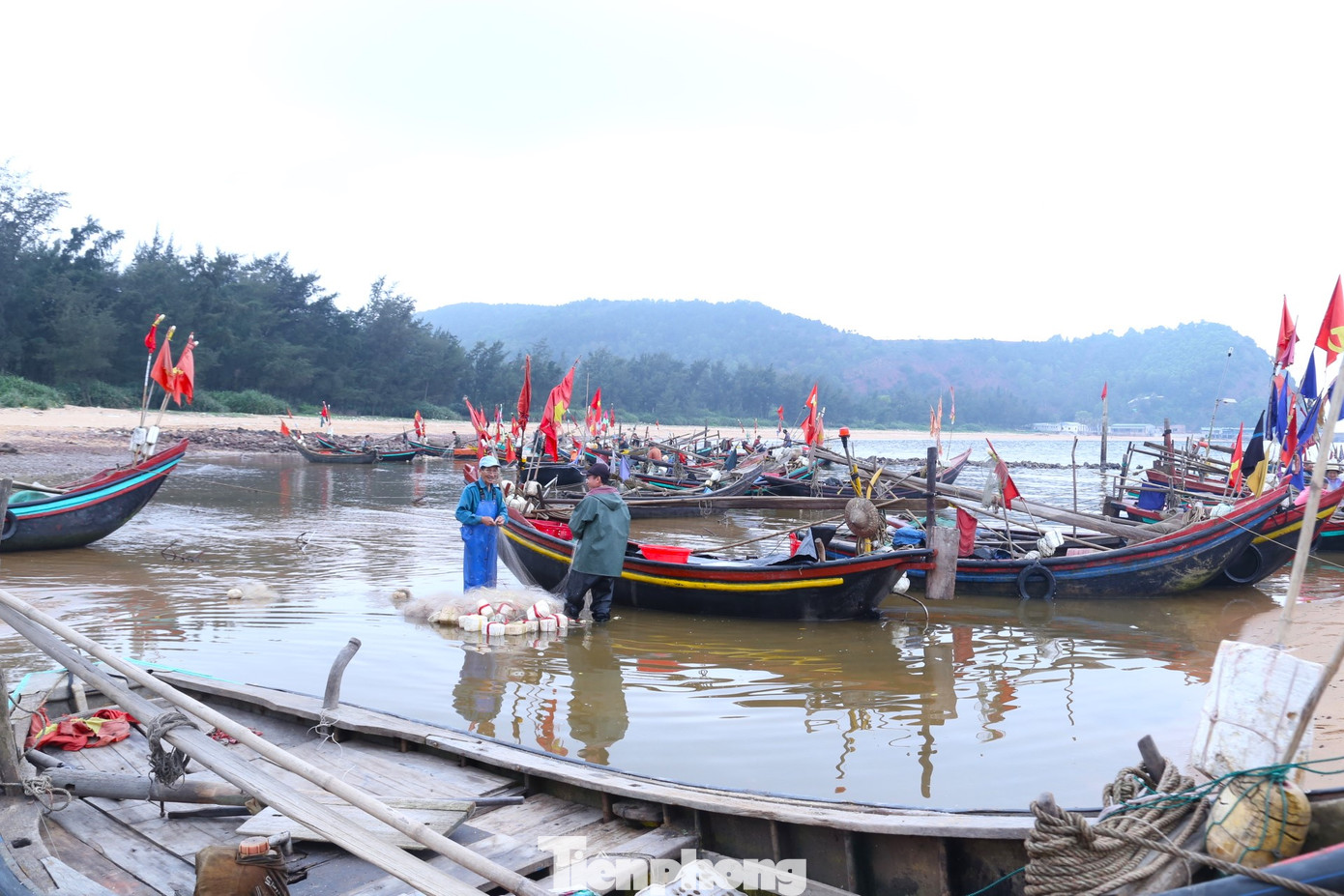 Từ sáng sớm, tại bến cá xóm Tiền Phong, xã Nghi Tiến, huyện Nghi Lộc, Nghệ An có hàng trăm chiếc thuyền nhỏ, thuyền thúng nối đuôi nhau cập bến, mang theo những thuyền đầy ắp cá trích. Dọc bờ biển, rất đông ngư dân đang hối hả gỡ những tấm lưới nặng trĩu cá trích để tiếp tục ra khơi. Từ sáng sớm, tại bến cá xóm Tiền Phong, xã Nghi Tiến, huyện Nghi Lộc, Nghệ An có hàng trăm chiếc thuyền nhỏ, thuyền thúng nối đuôi nhau cập bến, mang theo những thuyền đầy ắp cá trích. Dọc bờ biển, rất đông ngư dân đang hối hả gỡ những tấm lưới nặng trĩu cá trích để tiếp tục ra khơi.