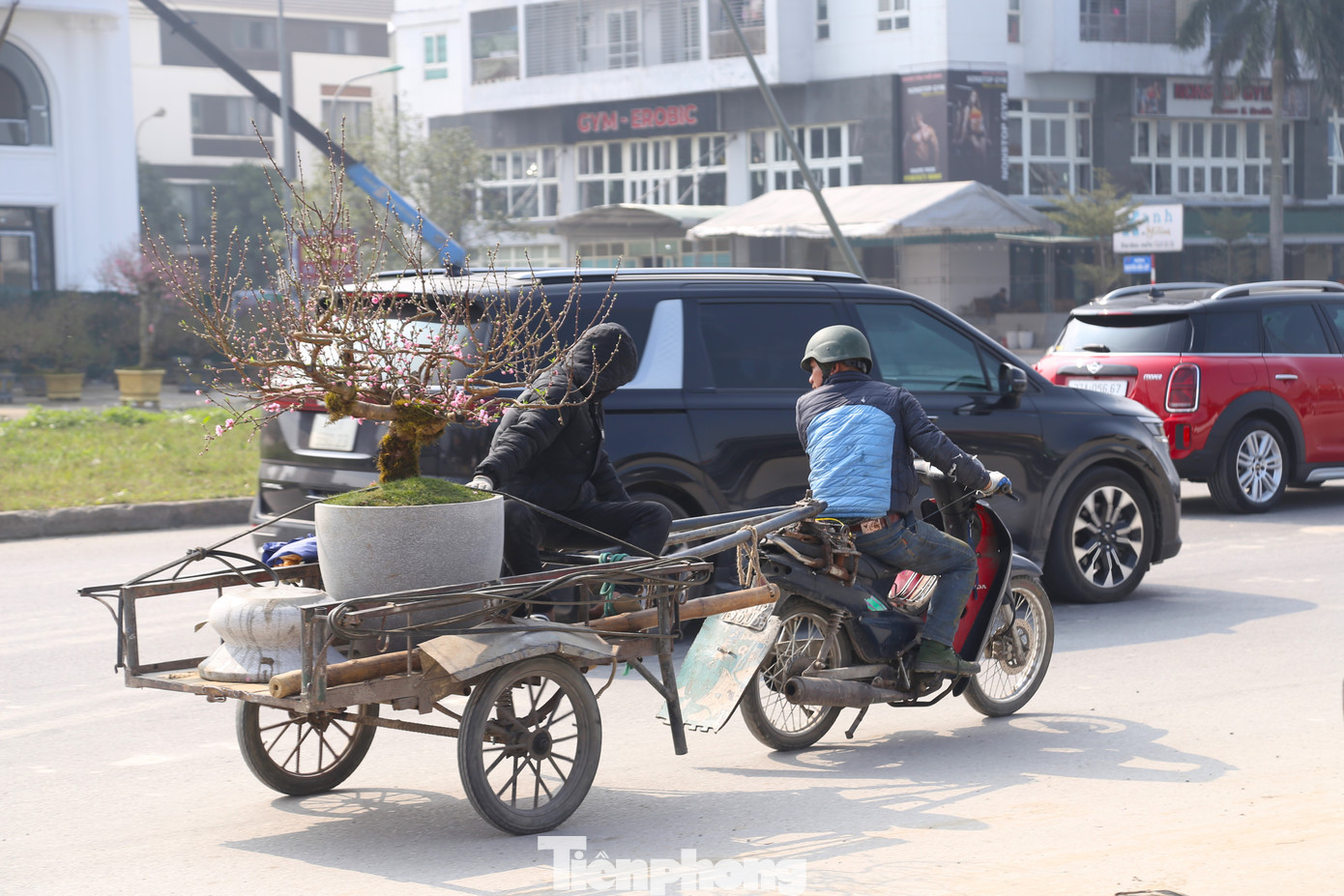 Mặc dù công việc ít, thu nhập giảm mạnh, song nhiều người vẫn túc trực tại các điểm bán hoa Tết để chờ đơn hàng với hy vọng có cái Tết đủ đầy hơn.
