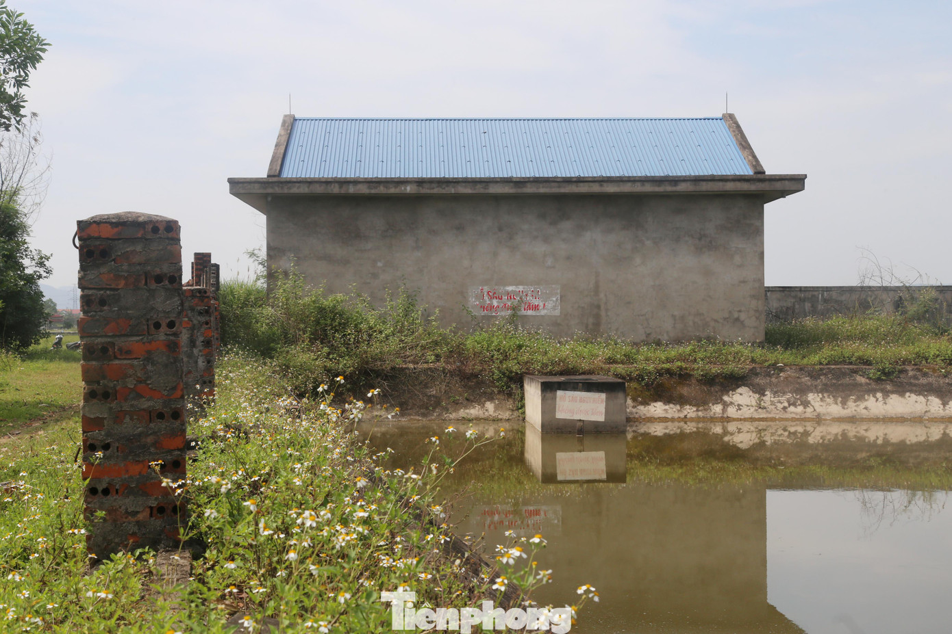 “Nguyên nhân nhà máy nước bỏ hoang là do thiếu vốn. Trước đây, với gần 1.000 hộ dân hưởng lợi từ dự án, nếu chia phần trăm thì mỗi hộ phải đóng khoảng 6 triệu đồng. Còn nay vật giá đều lên nên nếu tính lại chắc chắn sẽ phải hơn nhiều. Nhiều hộ không đủ khả năng để đáp ứng. Ngoài ra, một số hạng mục lâu năm nay đã xuống cấp cũng cần tu sửa nhưng không có tiền nên hiện vẫn tạm dừng”, ông Quý nói.