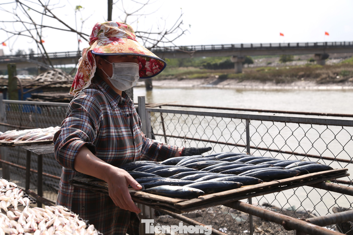 “Cơ sở chúng tôi nướng đủ các loại cá to nhỏ, để nguyên hay cắt ra từng khúc một, như: cá thu, cá bạc má, cá trích, cá cơm… Gần Tết, lượng khách đặt hàng tăng lên nên gần như phải làm từ sáng đến đêm khuya”, anh Tuấn chia sẻ.