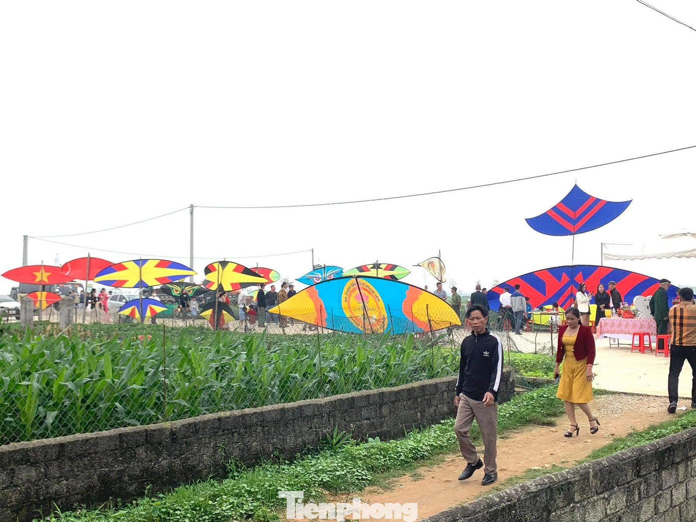 Những cánh diều khiến đám cưới trở nên ấn tượng, độc đáo. Những cánh diều khiến đám cưới trở nên ấn tượng, độc đáo.