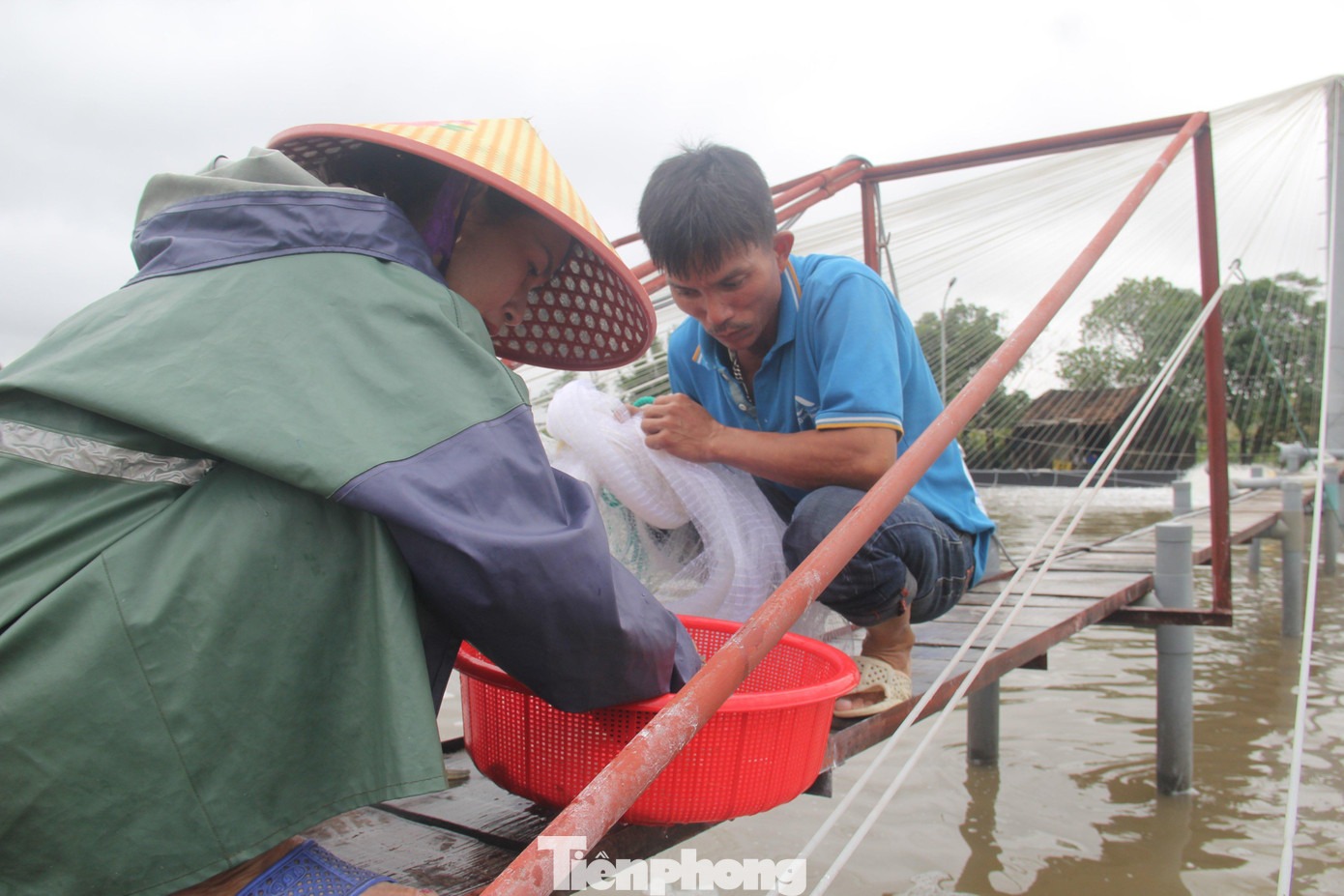 Ao hồ ngập băng sau mưa lớn, nông dân khóc ròng vì hàng chục tấn tôm ‘mất trắng’ Ao hồ ngập băng sau mưa lớn, nông dân khóc ròng vì hàng chục tấn tôm ‘mất trắng’