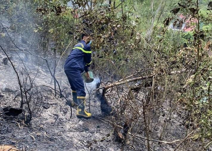 Nhiều diện tích rừng phòng hộ bị thiêu rụi