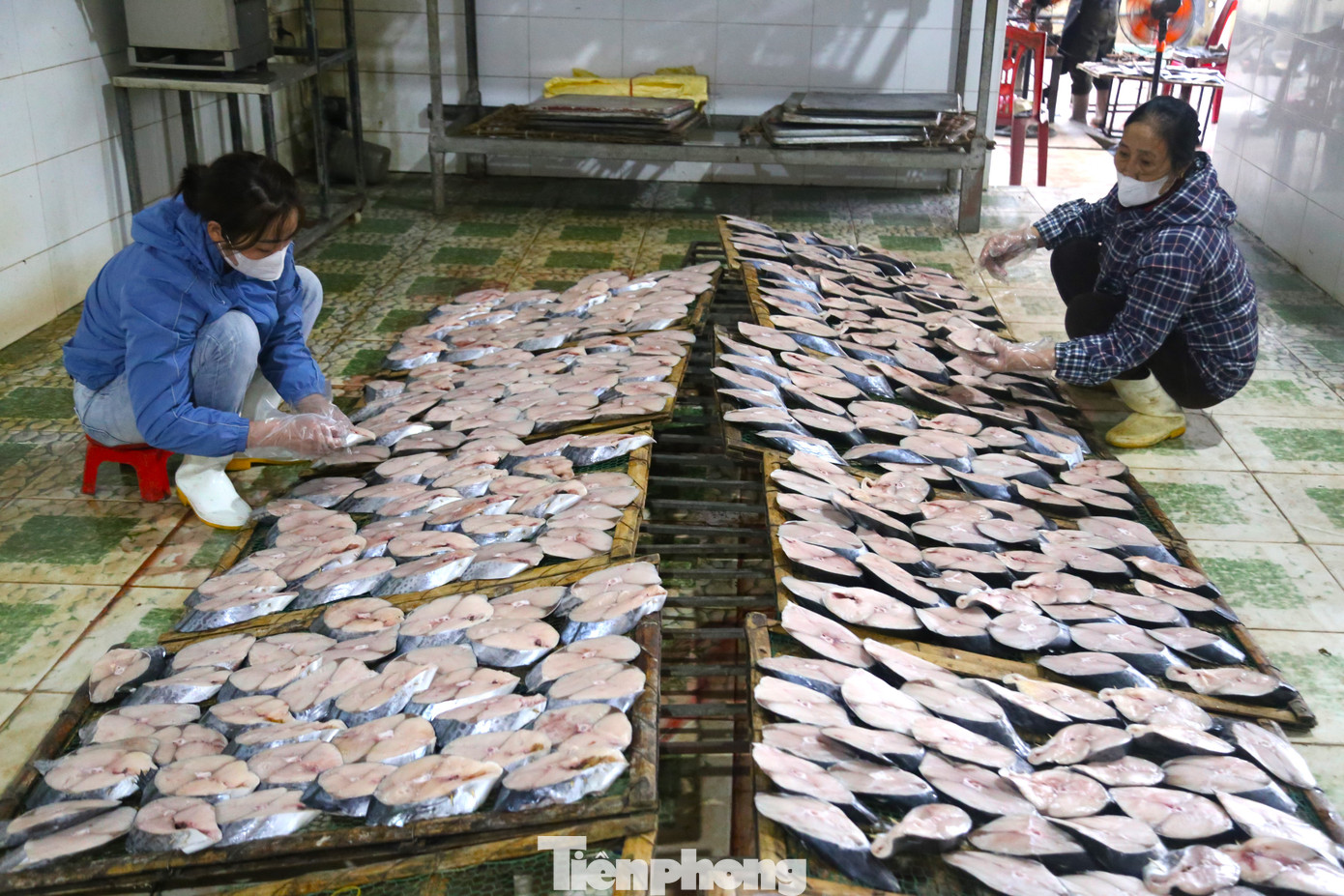 Chế biến cá thu nướng là nghề truyền thống tại nhiều địa phương ở Nghệ An, tuy nhiên, nổi tiếng nhất là tại vùng Nghi Hải, Nghi Thủy (TP Vinh). Cá thu nướng không chỉ là đặc sản thơm ngon, bổ dưỡng mà còn là thức quà biếu Tết rất phổ biến.