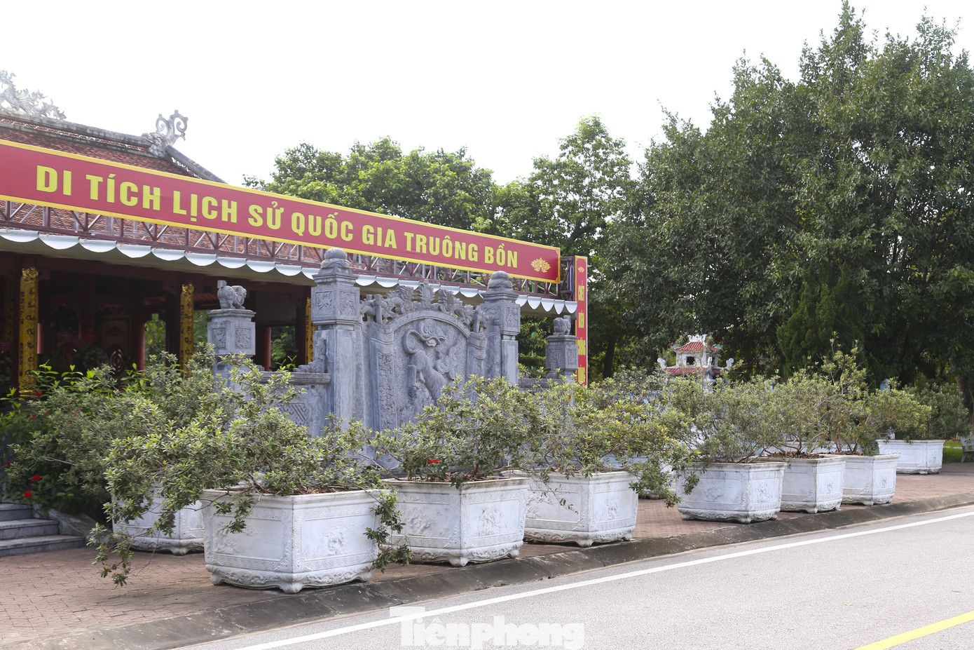 13 gốc sim cổ được cán bộ Ban quản lý Khu di tích lịch sử Truông Bồn kỳ công đào từ trên núi về ươm, trồng trước khu mộ chung của 13 TNXP thuộc Đại đội 317, Đội 65, Tổng đội TNXP chống Mỹ cứu nước, tỉnh Nghệ An.