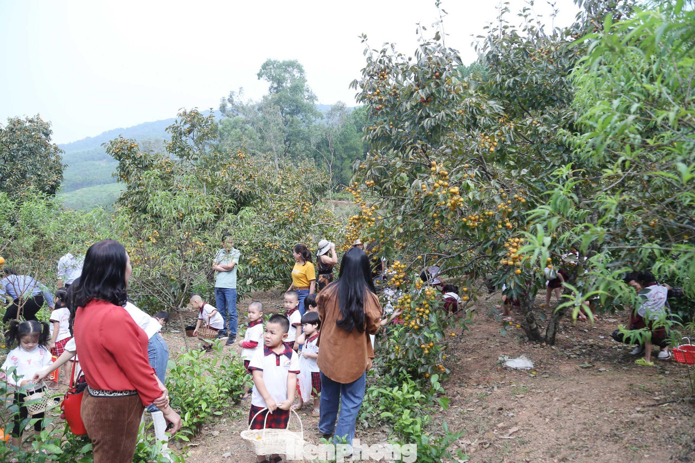 Dịp lễ 20/10 năm nay, vườn hồng ở Nam Anh thu hút nhiều du khách đến tham quan, trải nghiệm.