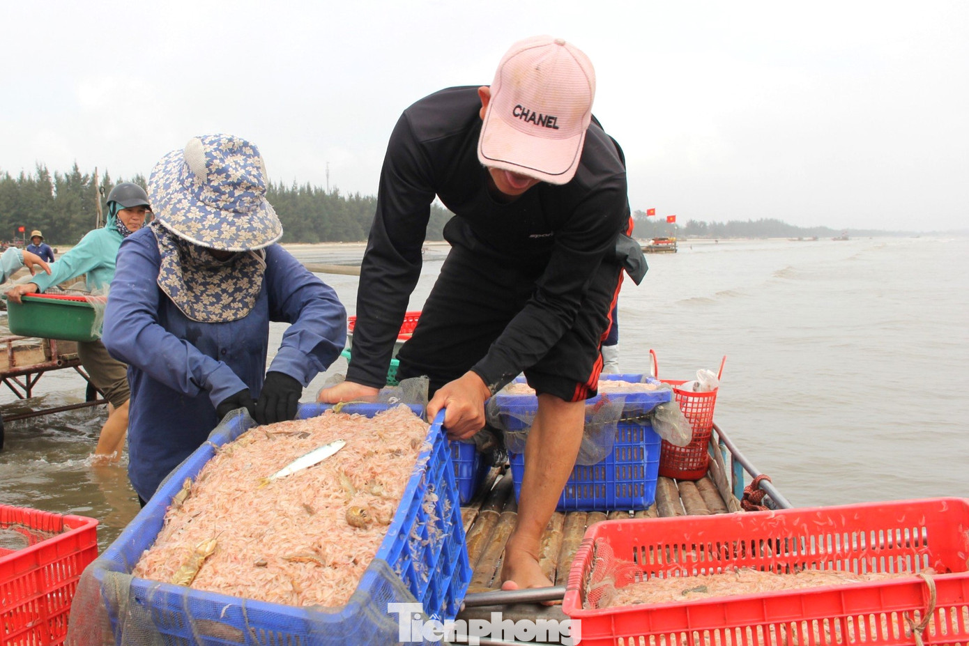 Ngư dân Nguyễn Văn Khánh (50 tuổi, trú xã Diễn Kim) phấn khởi khi chuyến “mở hàng” đầu năm được hơn 2 tạ ruốc biển. “Từ mùng 4 Tết, ngư dân chúng tôi đã ra biển đánh bắt hải sản. Dịp này đang vào mùa ruốc biển nên thuyền nào thuyền nấy đều mang về từ 2-3 tạ, thu tiền triệu trong ngày”, ông Khánh cho hay. Ngư dân Nguyễn Văn Khánh (50 tuổi, trú xã Diễn Kim) phấn khởi khi chuyến “mở hàng” đầu năm được hơn 2 tạ ruốc biển. “Từ mùng 4 Tết, ngư dân chúng tôi đã ra biển đánh bắt hải sản. Dịp này đang vào mùa ruốc biển nên thuyền nào thuyền nấy đều mang về từ 2-3 tạ, thu tiền triệu trong ngày”, ông Khánh cho hay.