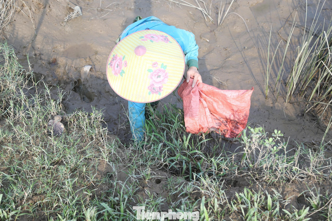 Xã Châu Nhân hiện có khoảng 6 hộ dân chuyên làm nghề săn cáy. Theo những người làm nghề săn cáy nơi đây, việc lựa chọn chân ruộng để đặt ống mồi rất quan trọng. Phải xem xét ruộng có nhiều cáy không, đã ai đặt ống mồi chưa?. Nếu chân ruộng vừa có người khác đặt ống mồi, hôm sau đi đặt lại xác suất được cáy sẽ thấp. Xã Châu Nhân hiện có khoảng 6 hộ dân chuyên làm nghề săn cáy. Theo những người làm nghề săn cáy nơi đây, việc lựa chọn chân ruộng để đặt ống mồi rất quan trọng. Phải xem xét ruộng có nhiều cáy không, đã ai đặt ống mồi chưa?. Nếu chân ruộng vừa có người khác đặt ống mồi, hôm sau đi đặt lại xác suất được cáy sẽ thấp.