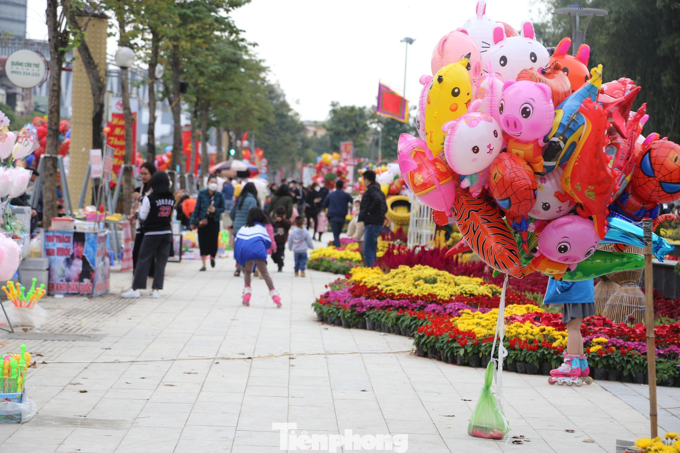 Anh Nguyễn Công Sơn (trú phường Trường Thi, TP Vinh) chia sẻ: "Năm nào cũng vậy, những ngày đầu xuân, gia đình đưa các cháu đi chơi, chụp ảnh lưu niệm. Năm nay, số lượng hoa nhiều hơn, rực rỡ hơn năm ngoái".