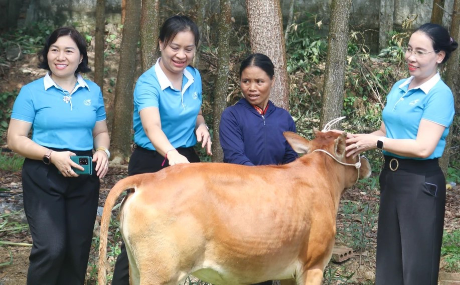 Hỗ trợ mô hình sinh kế "nuôi bò sinh sản" cho phụ nữ nghèo xã Châu Khê, huyện Con Cuông. Hỗ trợ mô hình sinh kế "nuôi bò sinh sản" cho phụ nữ nghèo xã Châu Khê, huyện Con Cuông.