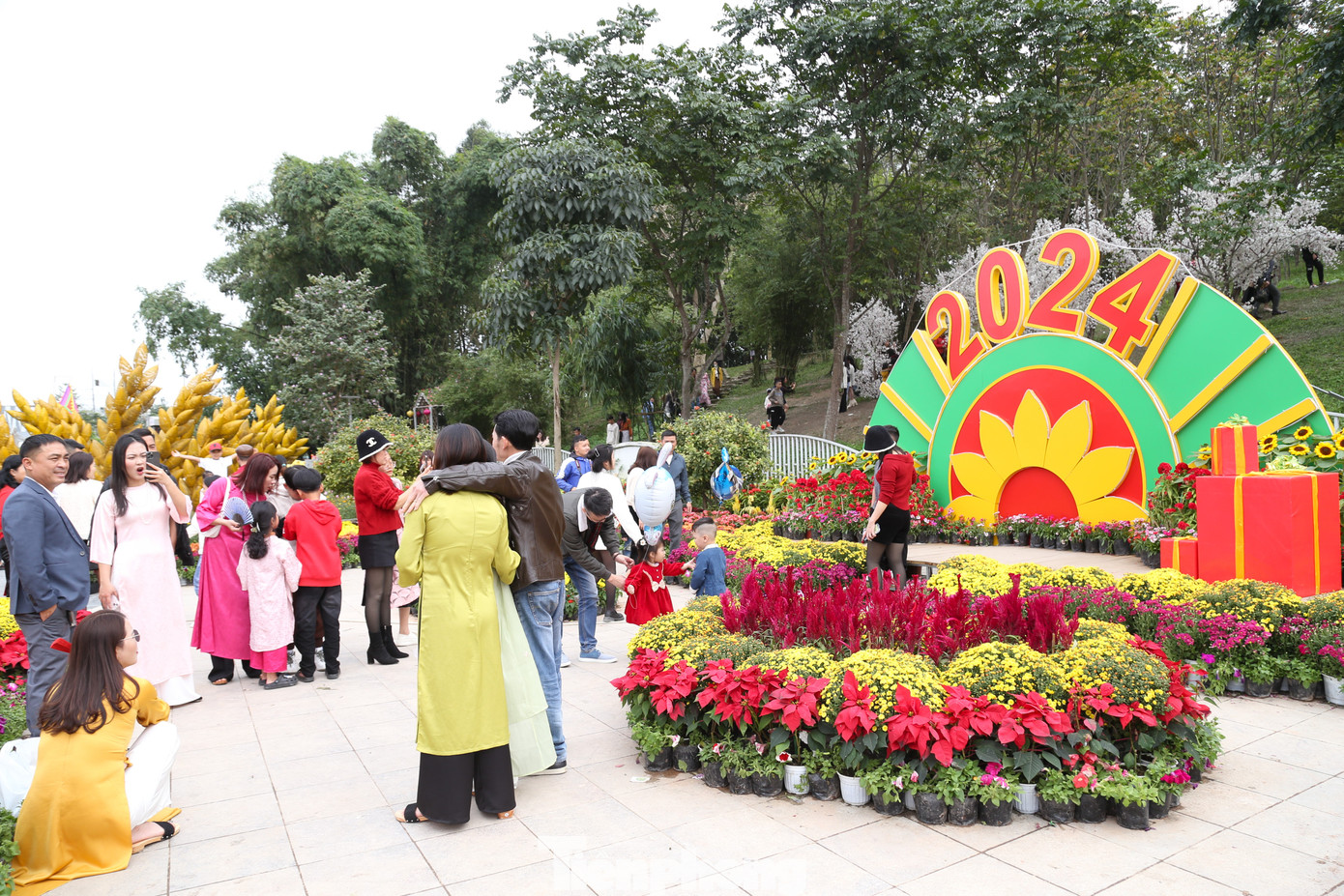 Hơn 60 loại hoa, cây cảnh với hơn 110.000 bông, phân bổ khắp các tuyến đường.