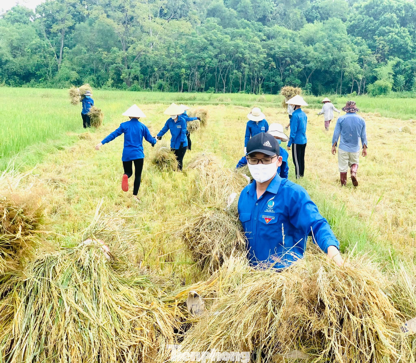 Anh Nguyễn Tất Hùng - Phó Bí thư Huyện đoàn Đô Lương cho biết: "Ngoài việc hỗ trợ trực chốt, nấu cơm miễn phí tiếp sức lực lượng tuyến đầu, các cơ sở Đoàn trên địa bàn đã xung kích hỗ trợ người dân thu hoạch nông sản, đặc biệt là thu hoạch lúa giúp dân trước khi bão đổ bộ. Với tinh thần người trẻ, chúng tôi mong muốn làm nhiều điều tốt đẹp hơn để giúp người dân lúc khó khăn".