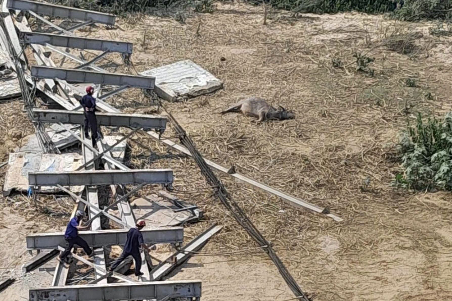 May mắn, vụ sập cầu không gây thiệt hại về người May mắn, vụ sập cầu không gây thiệt hại về người