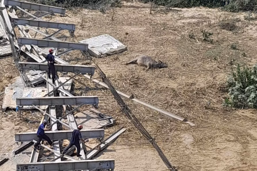 May mắn, vụ sập cầu không gây thiệt hại về người