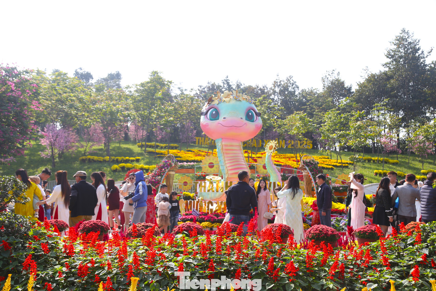 Trong đó, khu vực linh vật rắn thu hút nhiều người nhất. Linh vật rắn tại đường hoa là điểm nhấn trong bức tranh trang trí Tết tại thành phố Vinh, phục vụ người dân và du khách vui Tết, đón xuân. Trong đó, khu vực linh vật rắn thu hút nhiều người nhất. Linh vật rắn tại đường hoa là điểm nhấn trong bức tranh trang trí Tết tại thành phố Vinh, phục vụ người dân và du khách vui Tết, đón xuân.