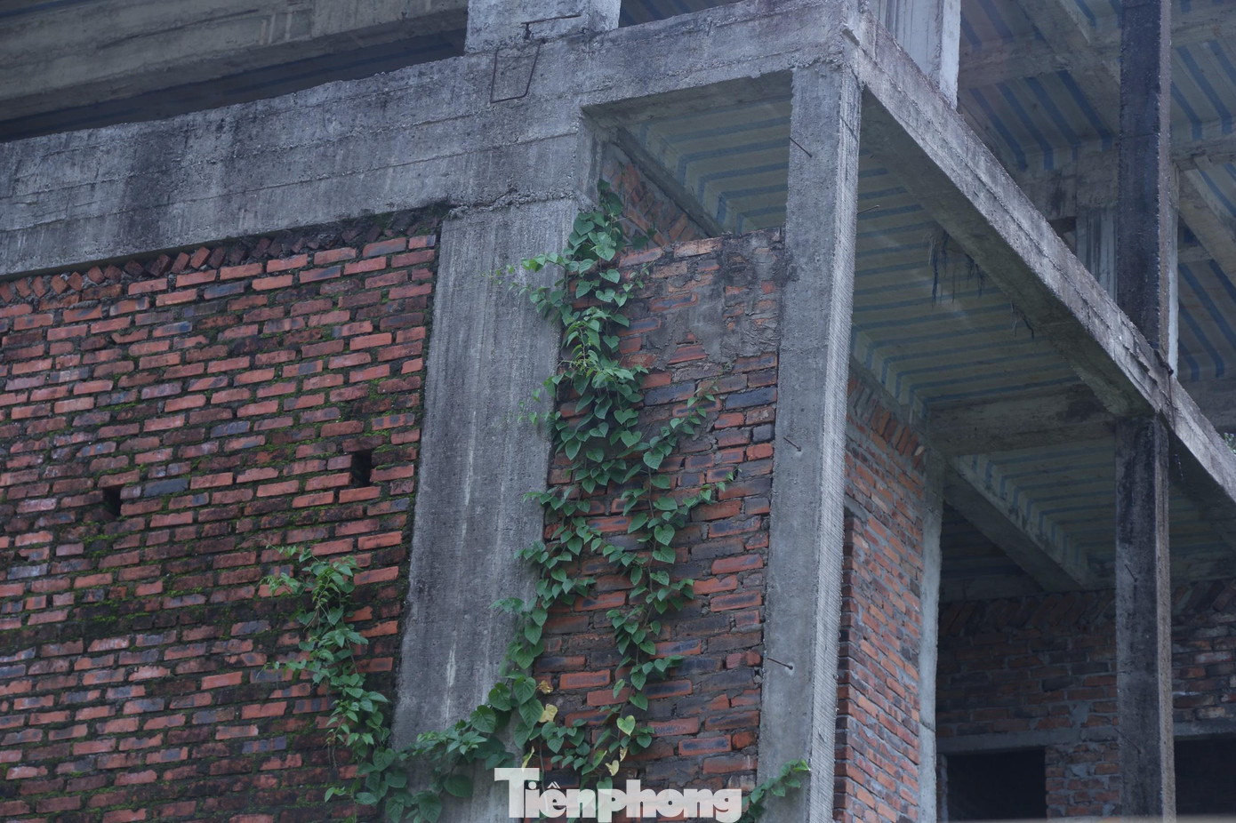 Công trình khu ký túc xá sinh viên bỏ hoang suốt nhiều năm Công trình khu ký túc xá sinh viên bỏ hoang suốt nhiều năm