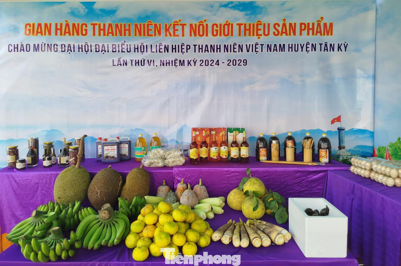 Các đại biểu tham quan gian hàng thanh niên kết nối giới thiệu sản phẩm.