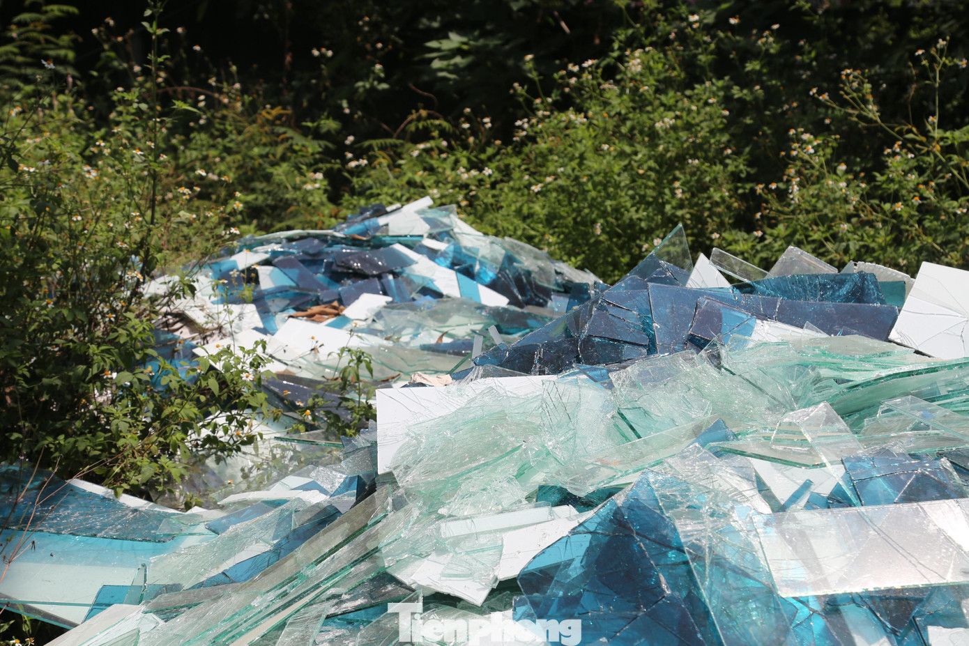 Kính vỡ được tập kết trên tuyến đường ven sông Vinh, gây nguy hiểm cho người tham gia giao thông.