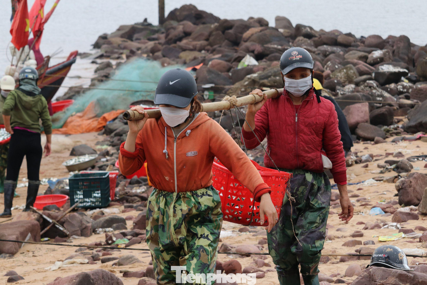 Theo Chi cục Thủy sản tỉnh Nghệ An, trong dịp Tết Nguyên đán Nhâm Dần, toàn tỉnh có 25 tàu cá khai thác xa bờ, với sản lượng bình quân 7 tấn/tàu, tương đương khoảng 175 tấn. Các hải sản khai thác được chủ yếu là cá hố, mực có giá trị kinh tế cao, ước tổng bình quân giá trị thu nhập 200 triệu đồng/tàu. Theo Chi cục Thủy sản tỉnh Nghệ An, trong dịp Tết Nguyên đán Nhâm Dần, toàn tỉnh có 25 tàu cá khai thác xa bờ, với sản lượng bình quân 7 tấn/tàu, tương đương khoảng 175 tấn. Các hải sản khai thác được chủ yếu là cá hố, mực có giá trị kinh tế cao, ước tổng bình quân giá trị thu nhập 200 triệu đồng/tàu.