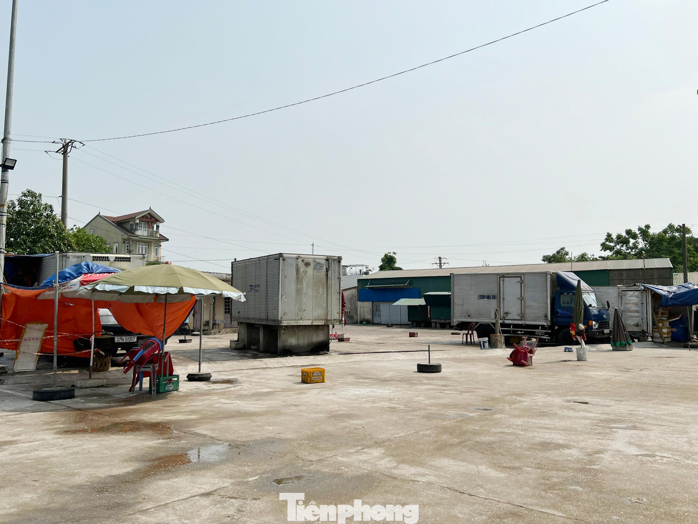 Khu vực bến cá này thường hoạt động vào khoảng từ 3 - 8h sáng. Sau khi đã phân loại hải sản, tiểu thương chuyển đi nơi khác bán.