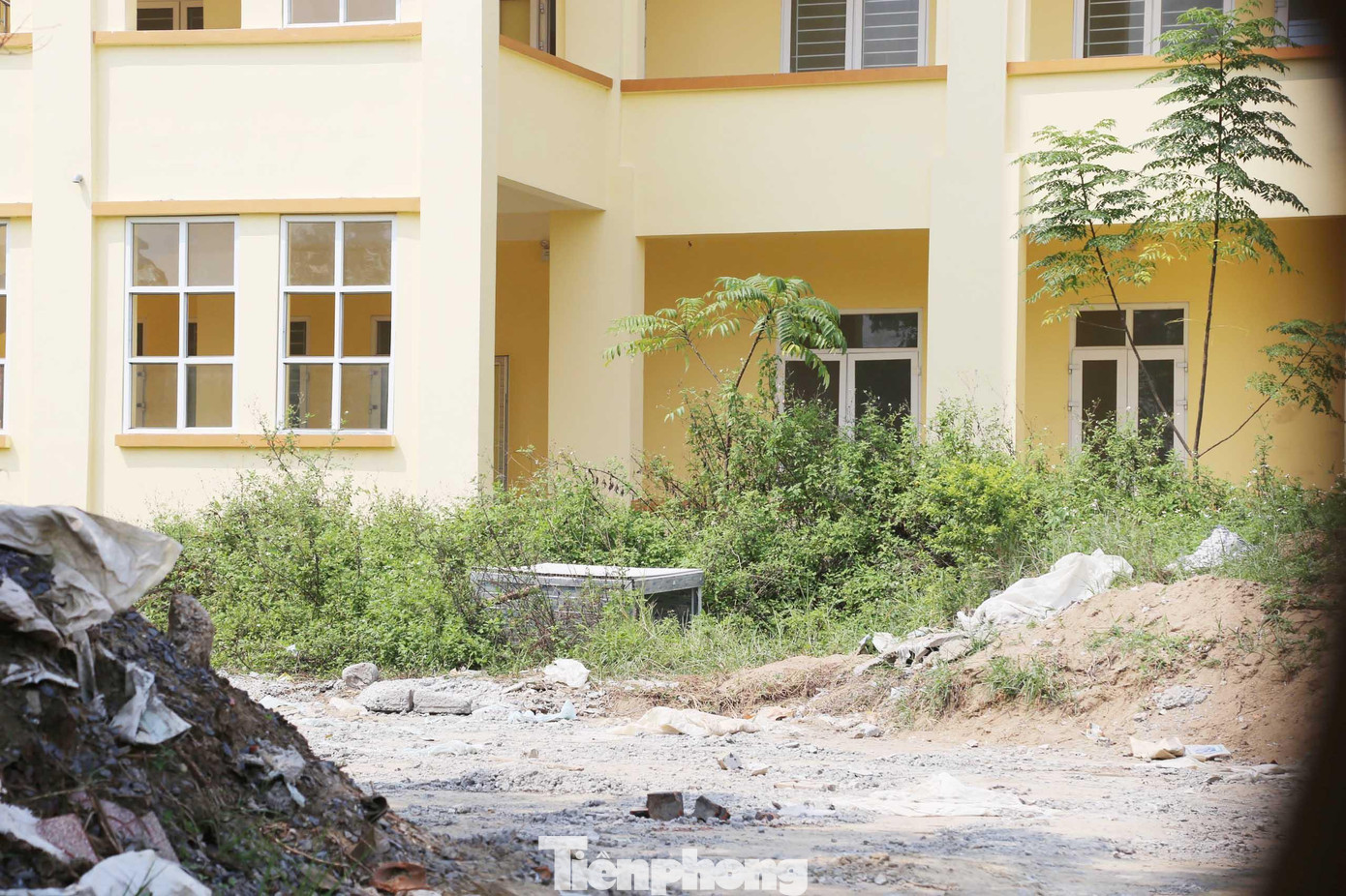 Khuôn viên trường ngổn ngang cỏ cây, đất đá Khuôn viên trường ngổn ngang cỏ cây, đất đá