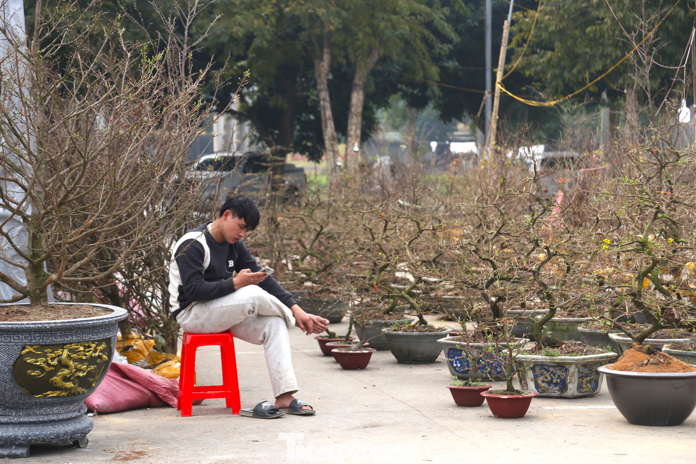 Vắng khách, tiểu thương ngồi lướt điện thoại.