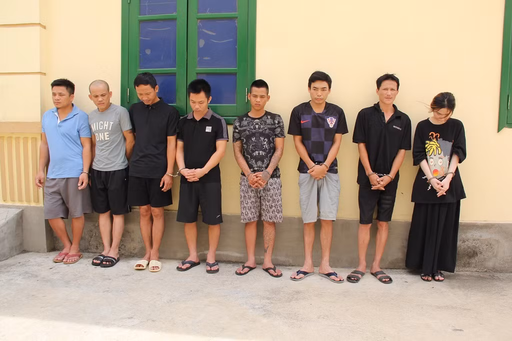 Các đối tượng trong chuyên án