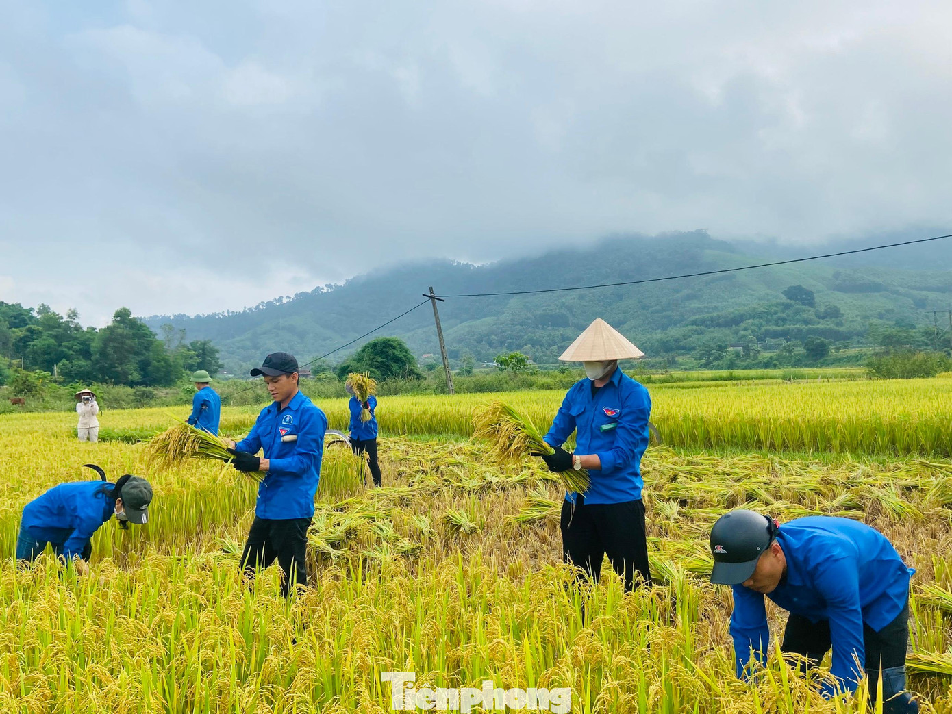 Dù thời tiết nắng nóng nhưng các bạn đoàn viên thanh niên vẫn rất nhiệt tình, hăng say lao động. (Ảnh: TH)