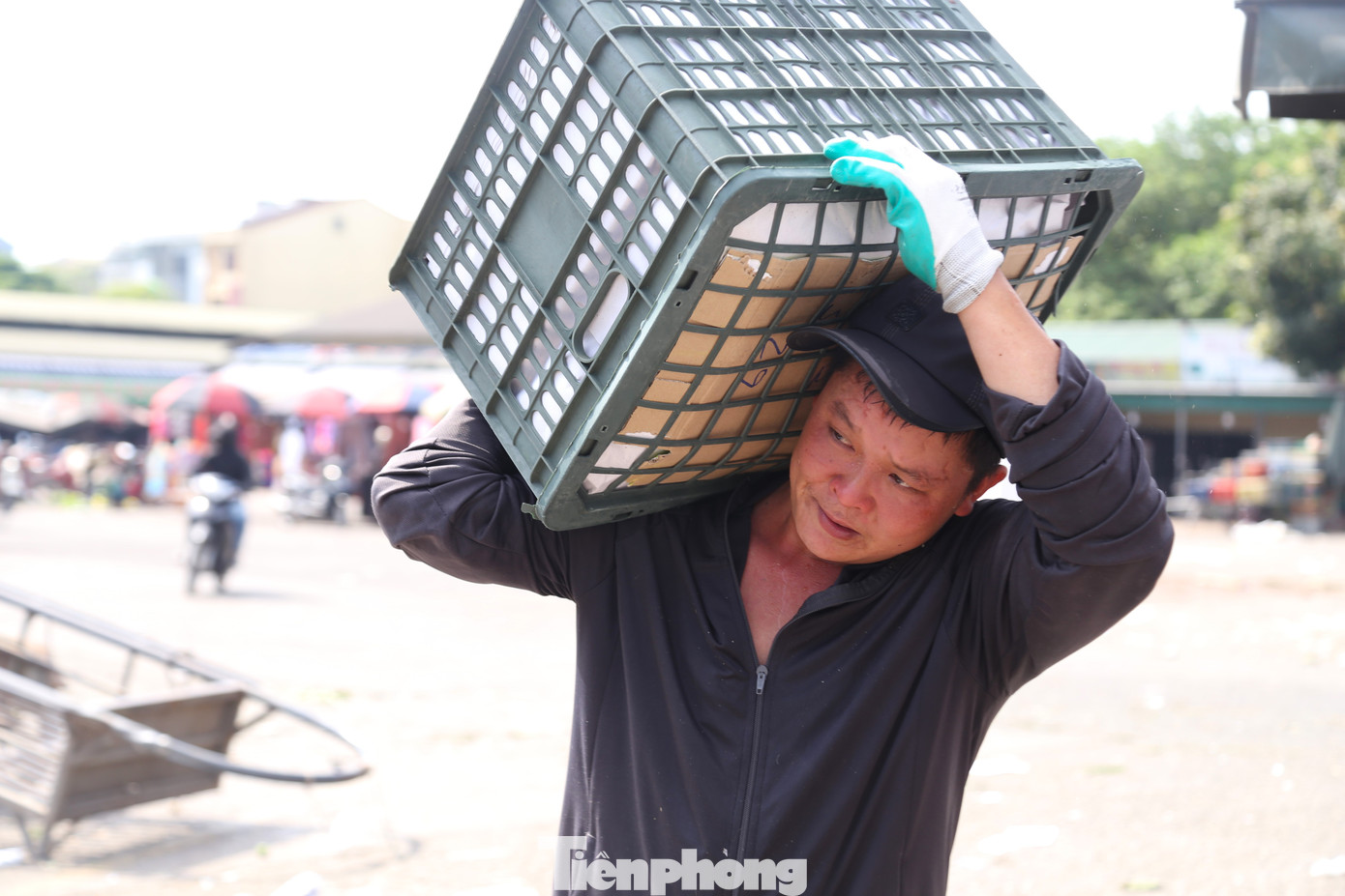 Có 5 năm làm nghề vận chuyển, bốc vác tại Bến xe chợ Vinh, anh Nguyễn Văn Việt (33 tuổi, trú huyện Hưng Nguyên, Nghệ An) cho biết, mấy ngày hôm nay nắng nóng khiến công việc thêm vất vả. “Làm việc giữa trời nắng nóng, sân bê tông hấp nhiệt, lại phải bốc vác hàng hóa nặng nên rất mất sức. Dù vất vả nhưng chúng tôi mong ngày nào cũng có việc làm để kiếm tiền trang trải cuộc sống”, anh Việt cho hay.