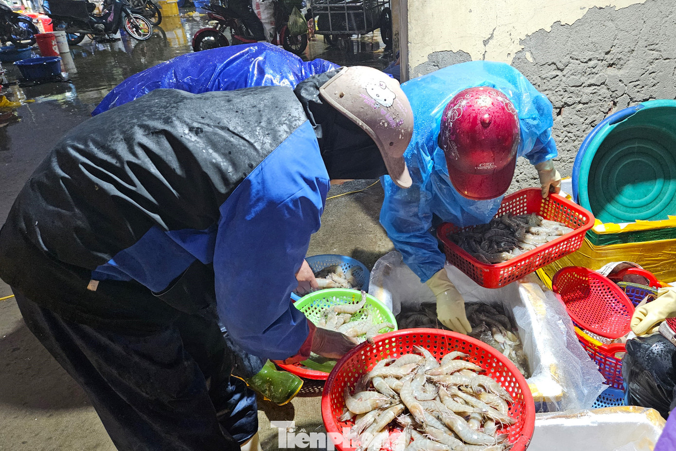 Các chuyến hàng hải sản theo chân tiểu thương tỏa ra các chợ trên khắp địa bàn. Phiên chợ diễn ra nhộn nhịp và dần tan khi bình minh ló rạng.