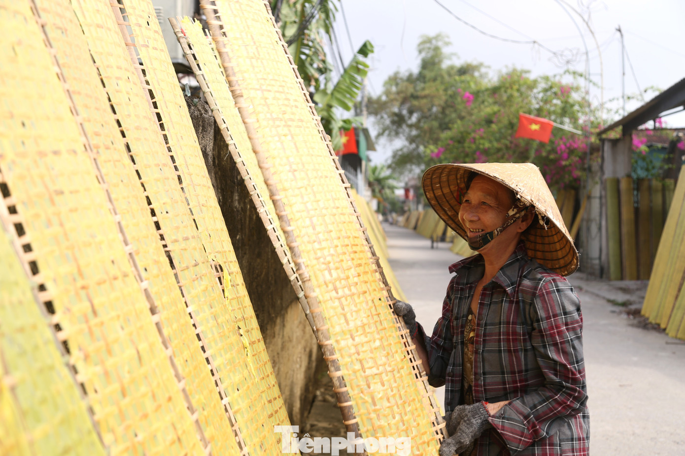 Bánh sau khi làm xong được rải lên những chiếc phên tre, đưa đi phơi.