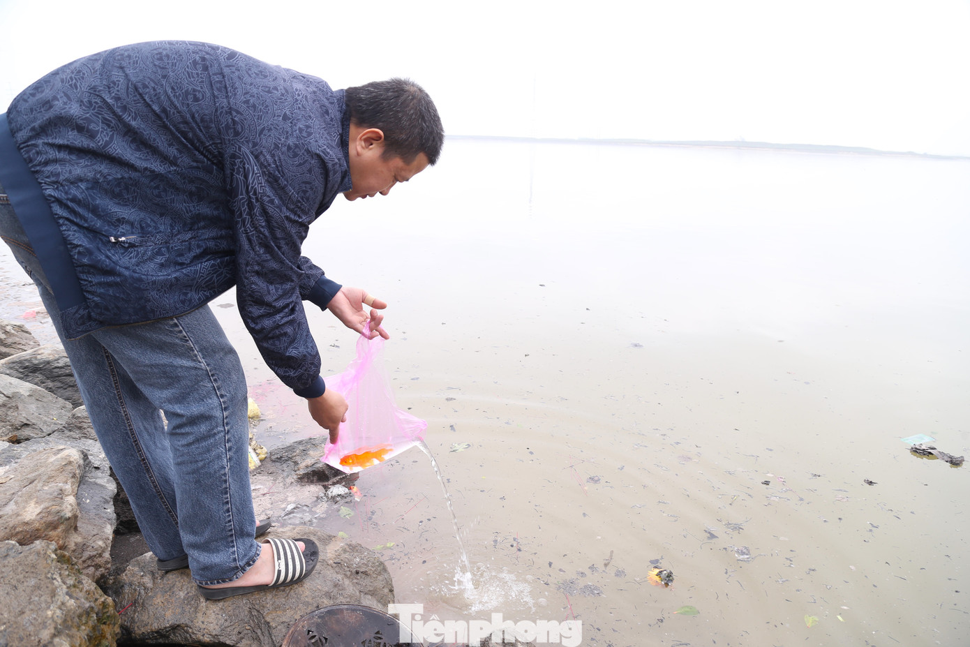 Những chú cá vàng được người dân thả xuống sông Lam vào buổi sáng hôm nay (2/2) tức ngày 23 tháng Chạp.