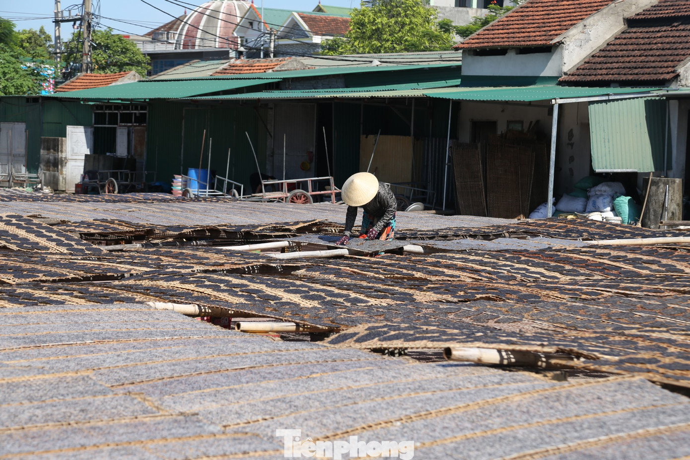 Làng nghề Vĩnh Đức (thị trấn Đô Lương, huyện Đô Lương, Nghệ An) có tuổi đời gần 300 trăm năm, nổi danh với sản phẩm bánh đa vừng, xuất khẩu ra cả nước ngoài. Hiện, làng nghề có 60 hộ, tạo việc làm thường xuyên cho 245 lao động địa phương, trong đó khoảng 80% lao động nữ.