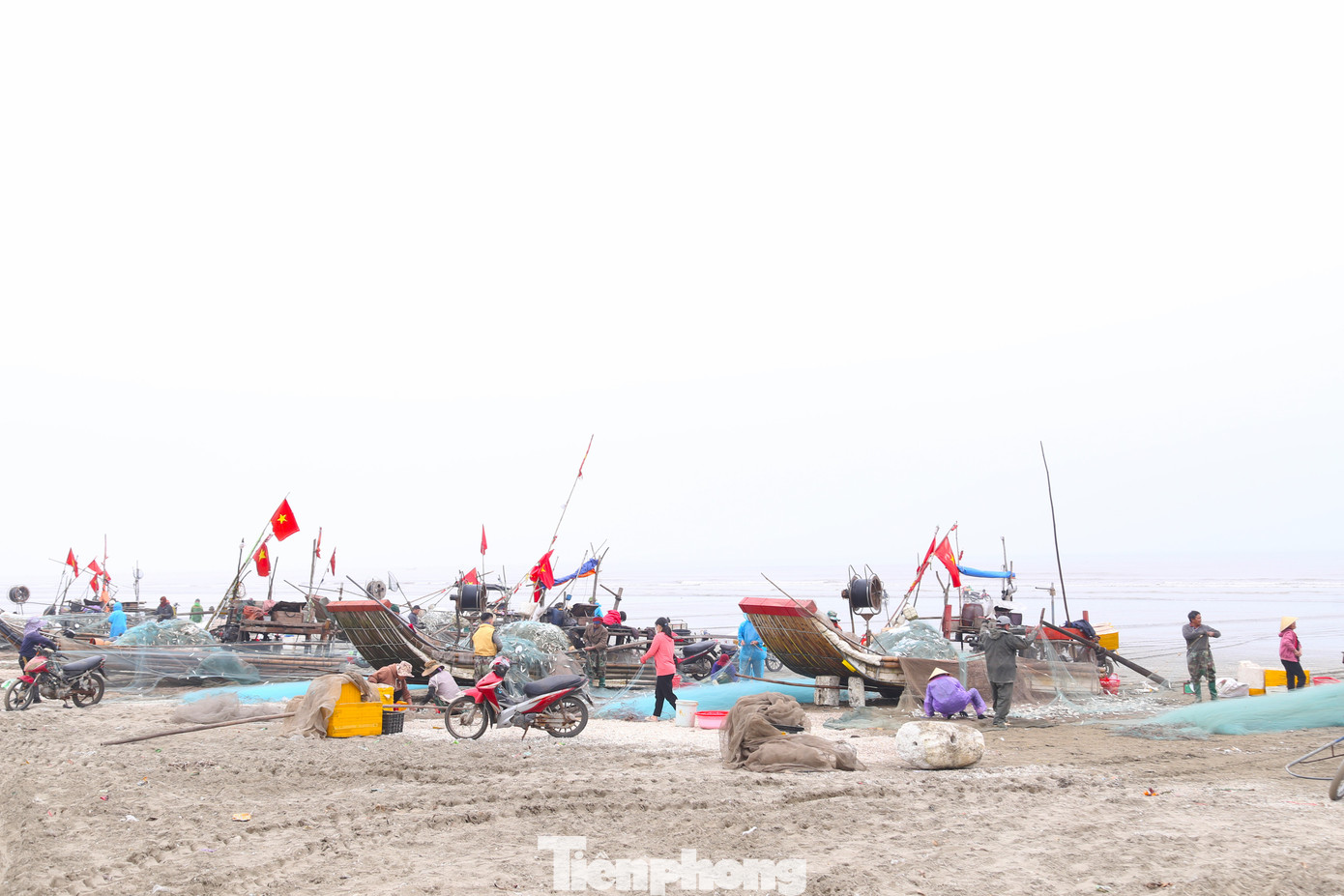 Huyện Diễn Châu có khoảng hơn 200 bè mảng chuyên đánh bắt gần bờ. Vào mùa đánh bắt cá trích, mỗi ngày đánh bắt hàng tấn cá trích, tạo nguồn thu nhập đáng kể cho ngư dân nơi đây. Huyện Diễn Châu có khoảng hơn 200 bè mảng chuyên đánh bắt gần bờ. Vào mùa đánh bắt cá trích, mỗi ngày đánh bắt hàng tấn cá trích, tạo nguồn thu nhập đáng kể cho ngư dân nơi đây.