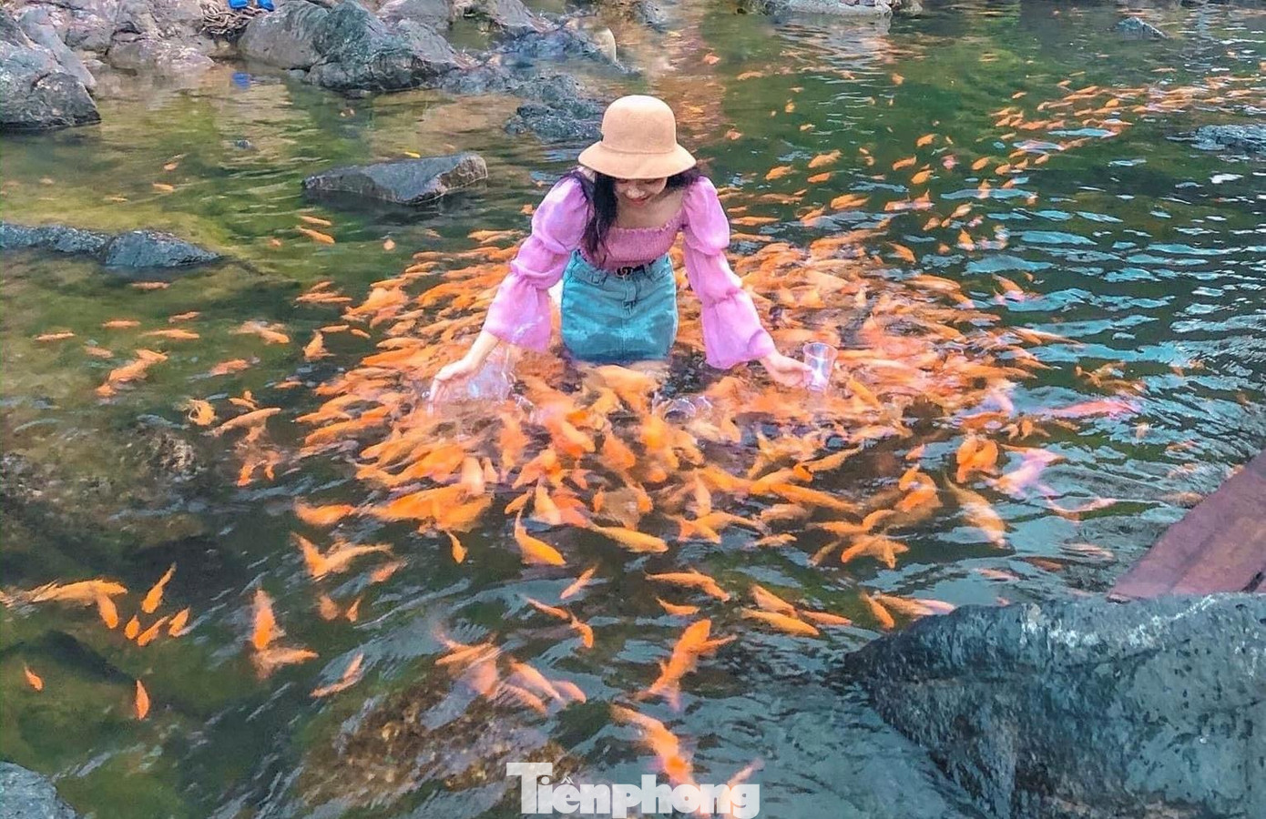 ... và vui đùa bên những chú cá vàng.